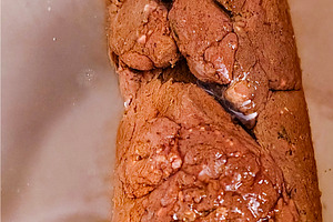 Solid human feces close-up, a Health & Medical Photo by DanFLCreativo