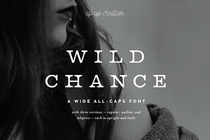 Wild Chance Complete 6-Font Family