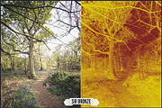 Solarized IR Inspired profiles LUTs, a Plug-in Add-On by Raztrend (Thumbnail 23 of 30)