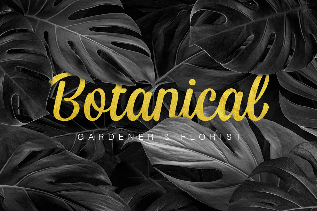Haesley, a Script Font by Fargun Studio (Photo 4 of 21)