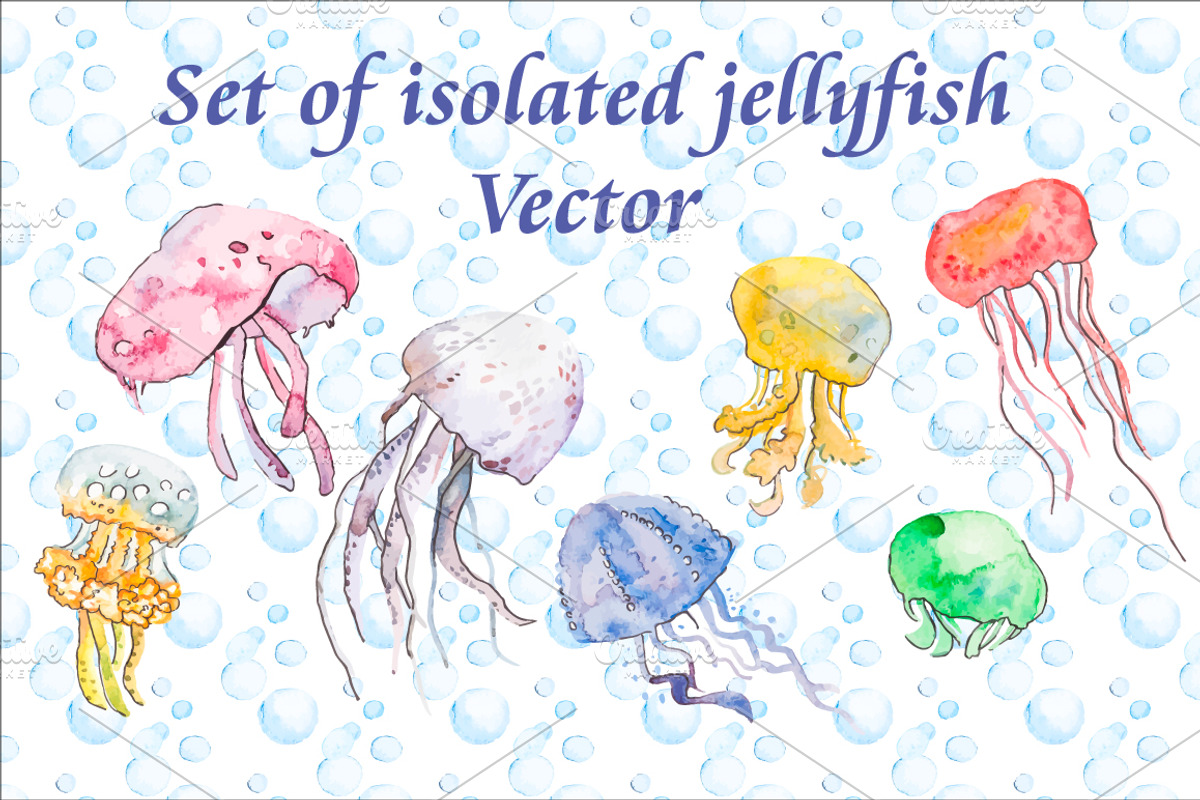 Sea patterns & Isolated objects, an Animal Illustration by Elizaveta (Photo 4 of 5)