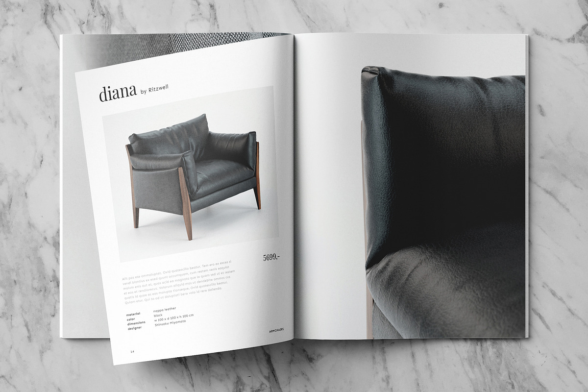Product Brochure Template, a Brochure Template by Template Temple (Photo 12 of 15)