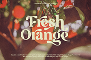 Luna Bloom - Classic Retro Vintage, a Serif Font by Annivers Type (Thumbnail 8 of 10)