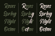 Roselight Brush, a Script Font by din-studio.com (Thumbnail 14 of 16)