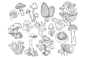 ProCreate Mushroom Stamp Bundle