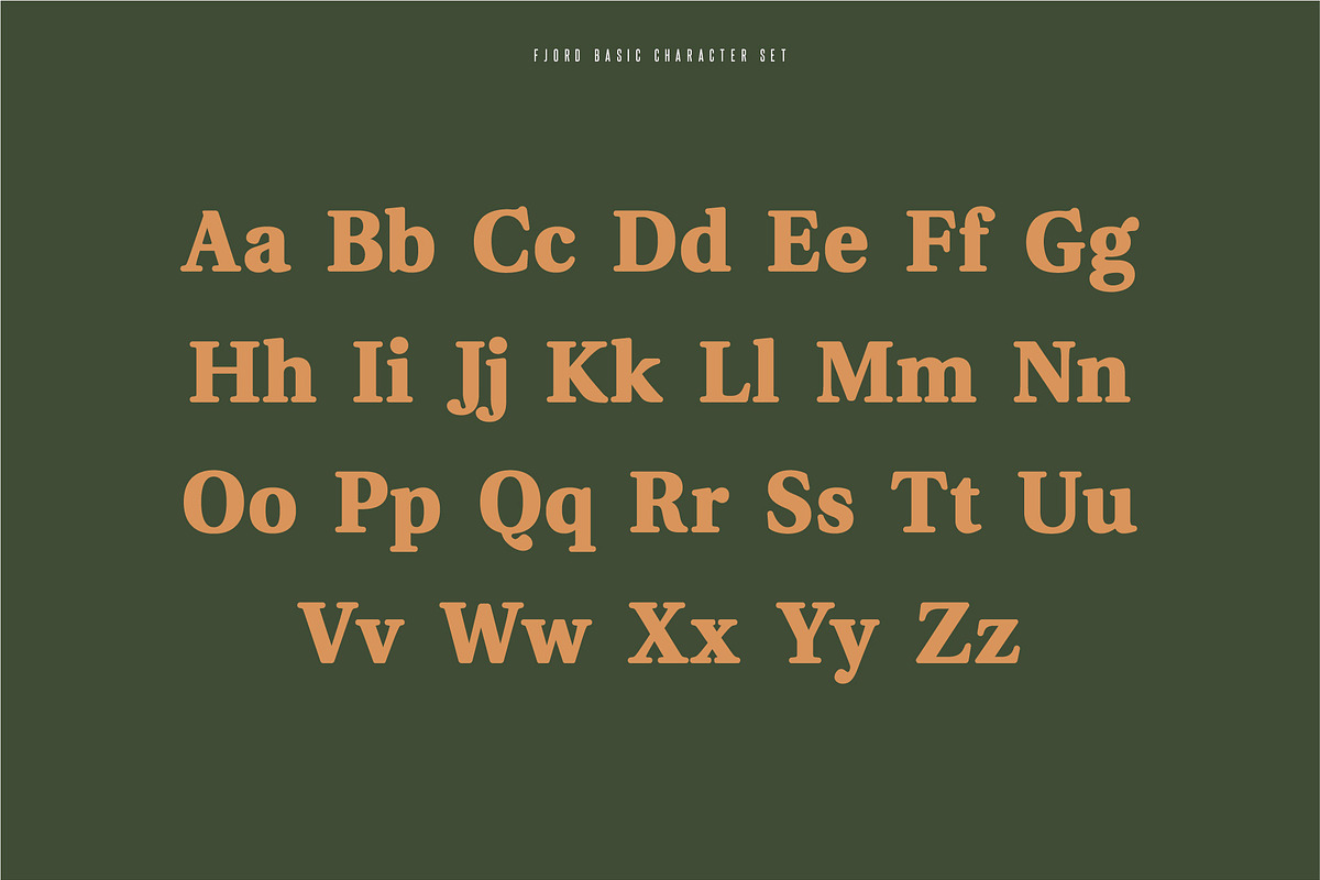 Fjord - Soft Fat Serif Font preview 2