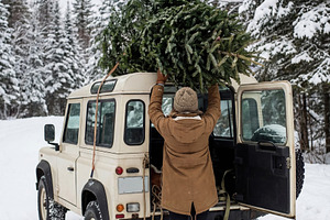 Person Loading Christmas Tree, a Holiday Photo by Virgo Studio