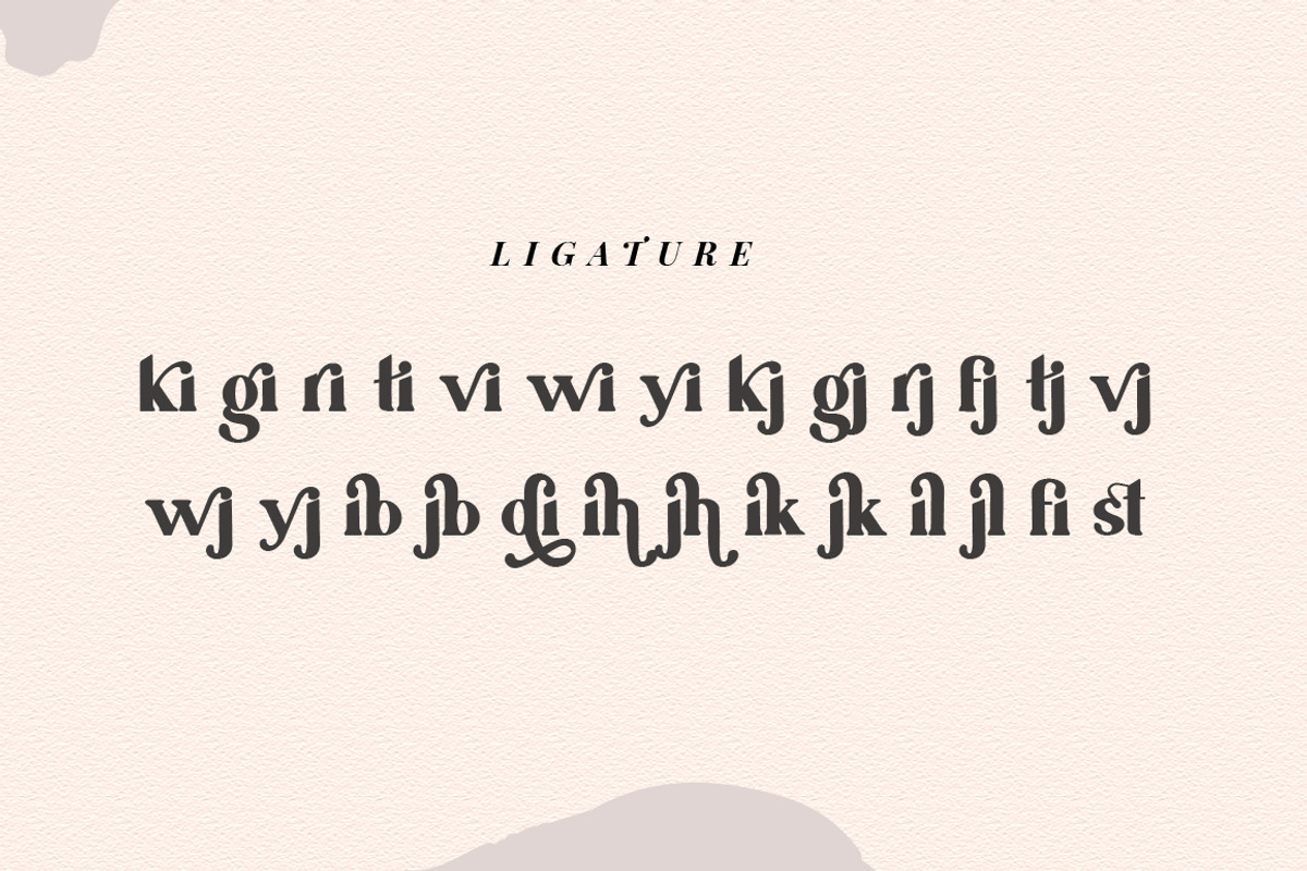 Ragila ~ Ligature Serif Font, a Serif Font by Vultype Co. (Photo 12 of 16)