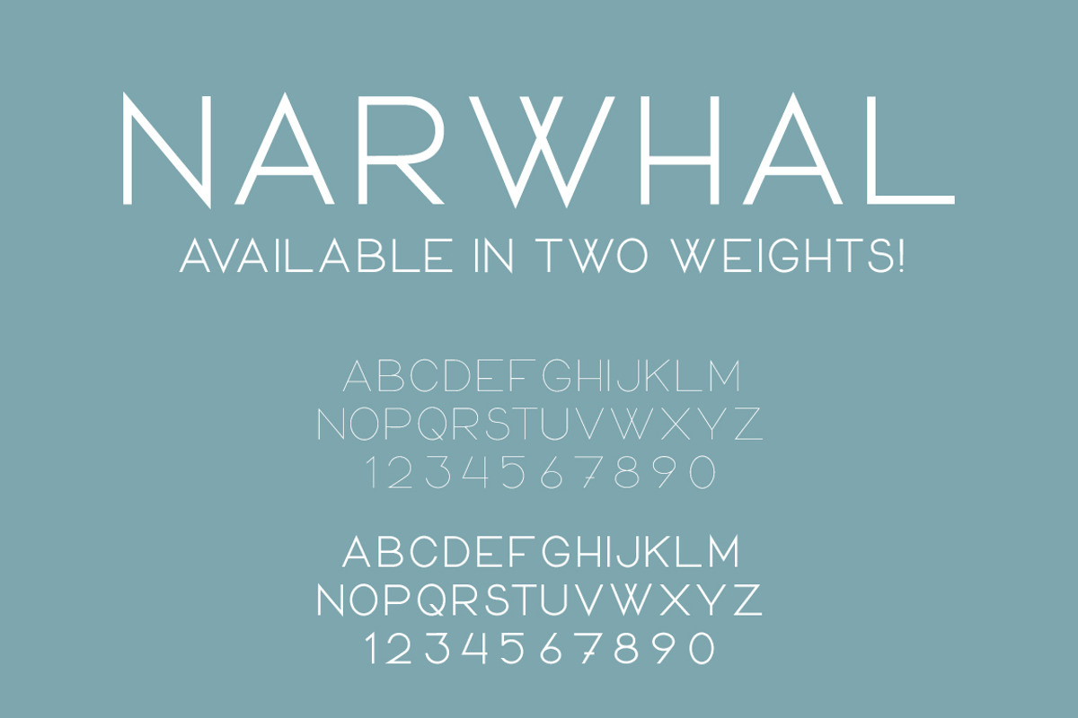 Narwhal