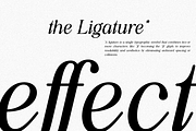 The Starly Ethical, a Serif Font by Soft Creative (Thumbnail 4 of 10)