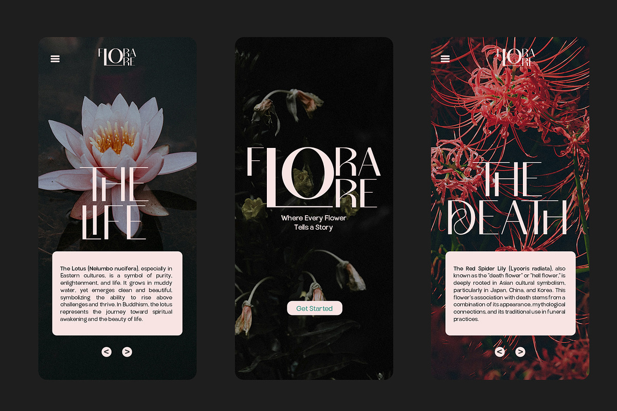 TBJ Milky – 8 Styles Boldly Sans, a Sans Serif Font by Taboja Studio (Photo 8 of 18)