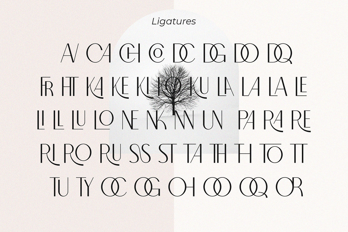 North Carossela || A Ligature Sans, a Sans Serif Font by BrandSemut (Photo 11 of 11)