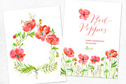 Red Poppies. Floral collection, an Illustration by OctopusArtis (Thumbnail 2 of 3)