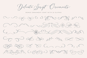 Delicate Elegant Script & Ornaments