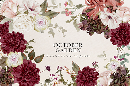 Burgundy & Blush Watercolor Florals, a Decorative Illustration by Grace Noboa Illustrations