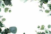 99 Frames of green leaves, a Nature Photo by Handmadefont (Thumbnail 50 of 100)