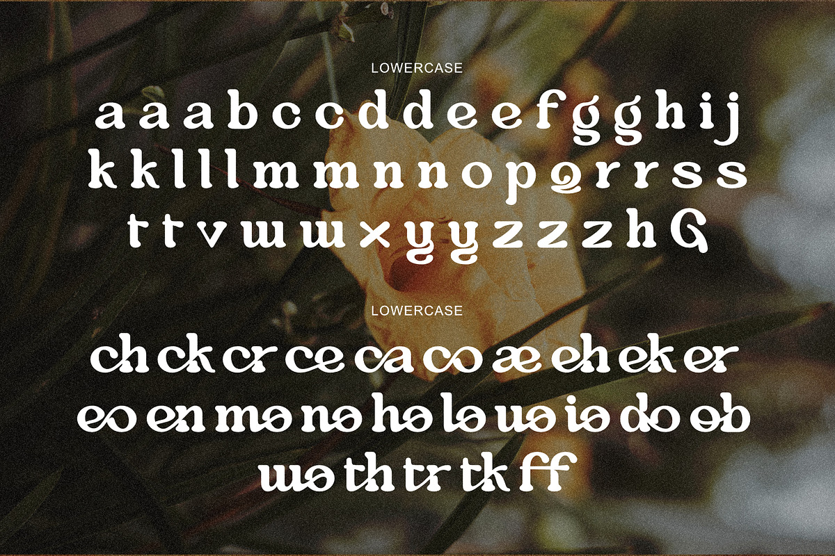 Aloevera - Modern Retro Serif, a Serif Font by Salamahtype (Photo 8 of 10)