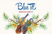 Watercolor blue tit bird clipart, an Illustration by Art & Things (Thumbnail 2 of 8)