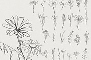 Timeless Romance: Wedding Line Art, a Decorative Illustration by AnnaPolitmerskaja (Thumbnail 8 of 8)