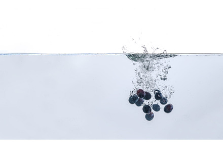 some blue graope berries isolated