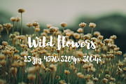 Wild Flowers II, a Templates & Theme by ApertureVintage (Thumbnail 3 of 14)