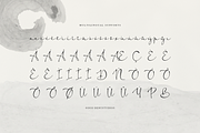 The Candelor | Luxury Chic Font, a Script Font by Denustudios (Thumbnail 11 of 12)