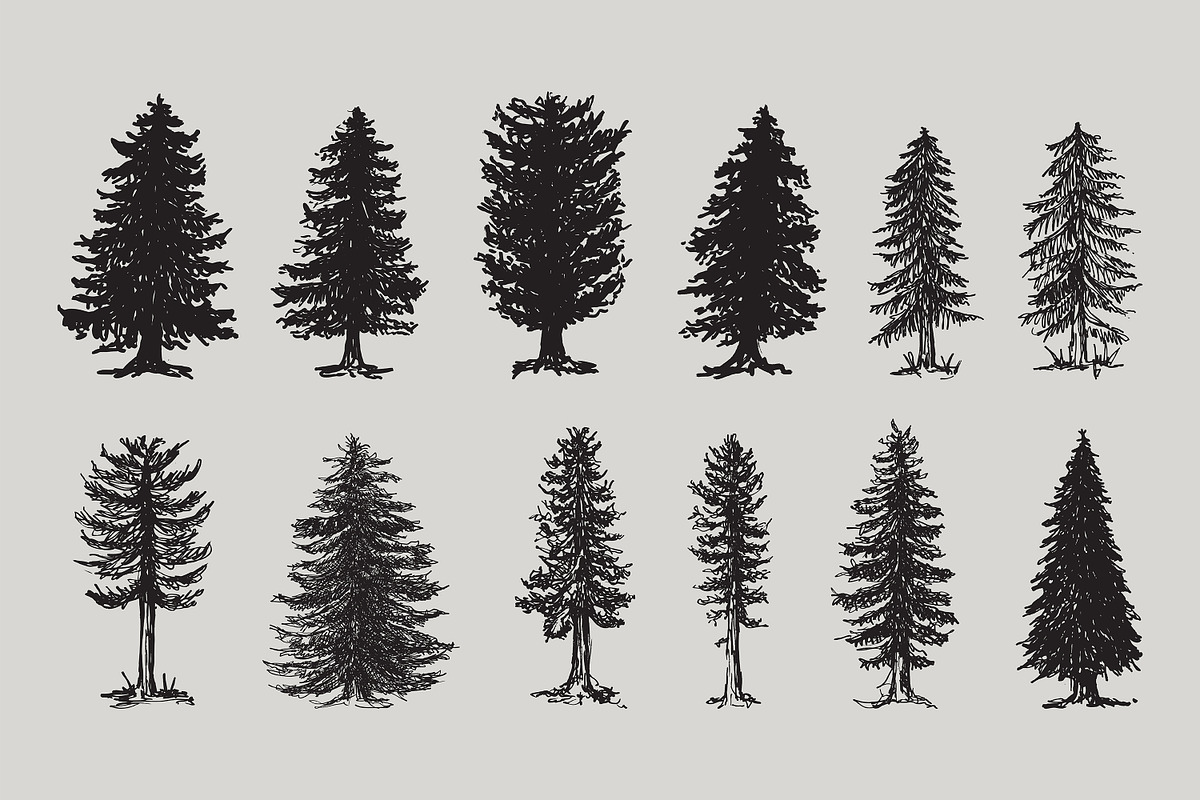 Mountain Forest Hand-drawn Elements, an Illustration by Artolabs (Photo 5 of 10)