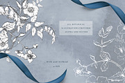 Botanical Graphic Collection, an Illustration by Twigs and Twine (Thumbnail 7 of 10)