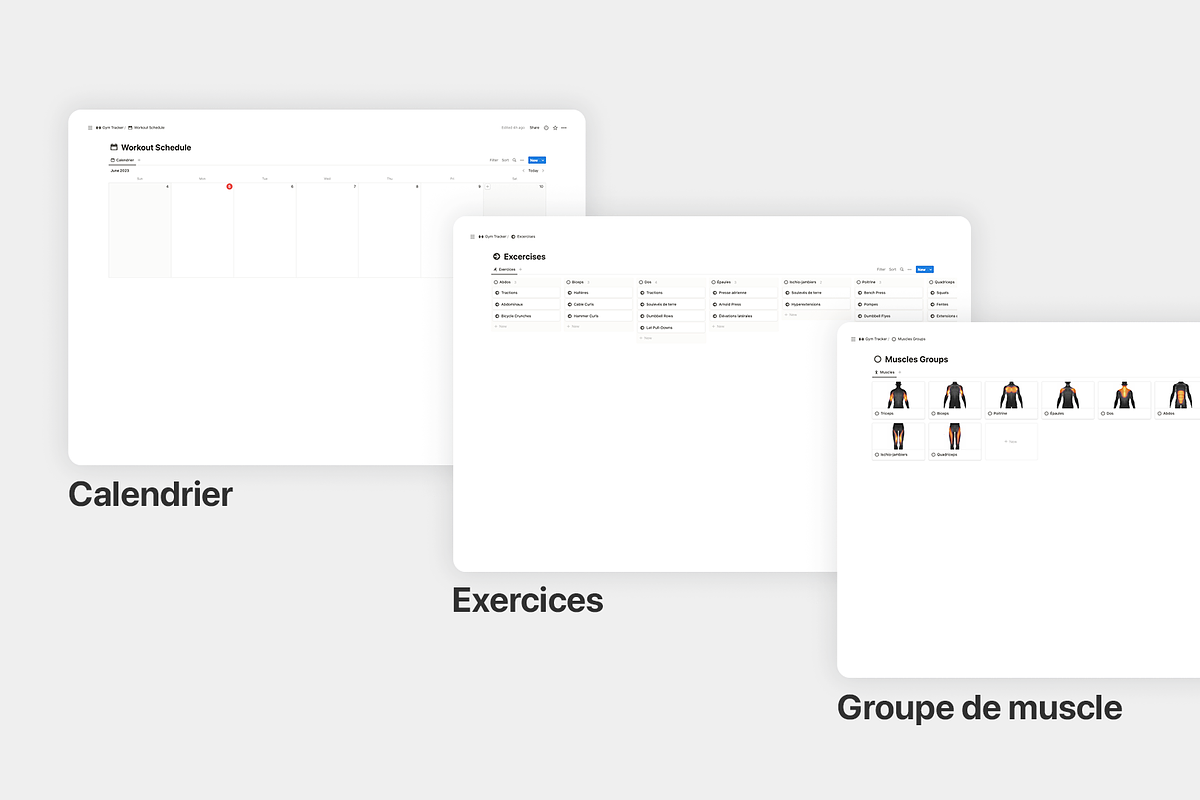 Gym Tracker, a Templates & Theme by MisterAutomatiz (Photo 4 of 4)