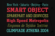 Ferguson Slab Font Family, a Slab Serif Font by Arterfak Project (Thumbnail 2 of 10)