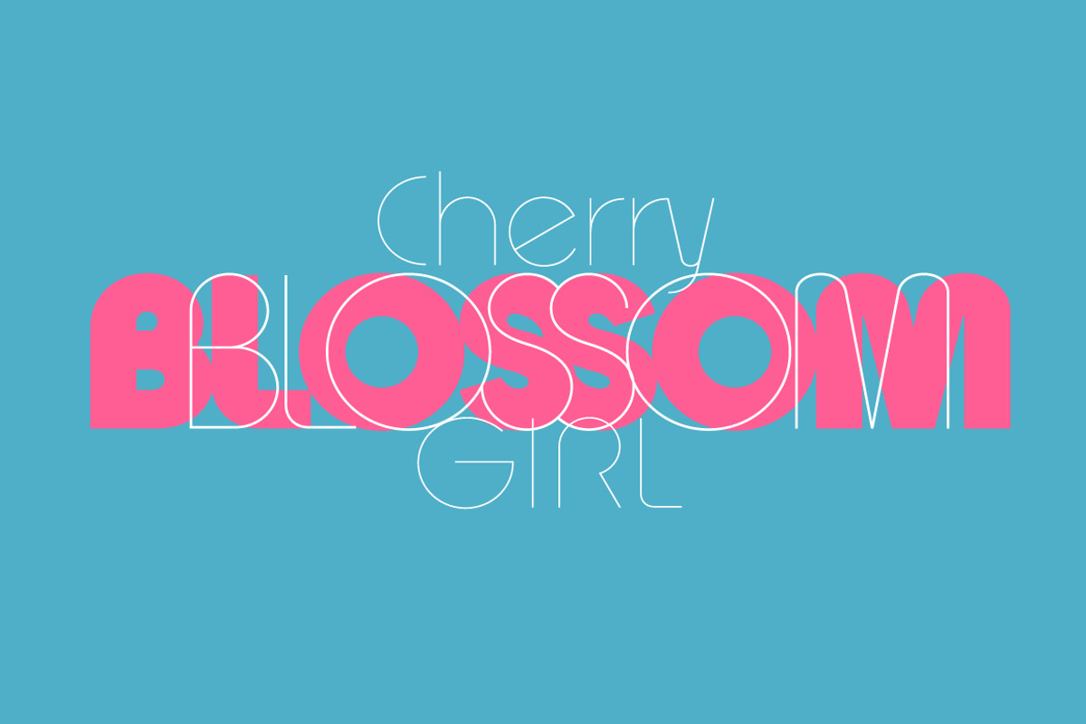 Ascent Pro (18 fonts), a Sans Serif Font by Fontop (Photo 14 of 15)