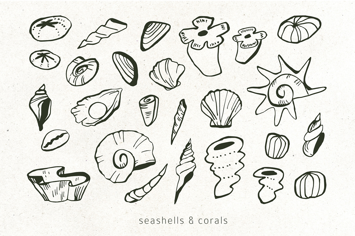 INKED SEALIFE hand drawn vector set, an Animal Illustration by Lena Nikolaeva (Photo 4 of 11)