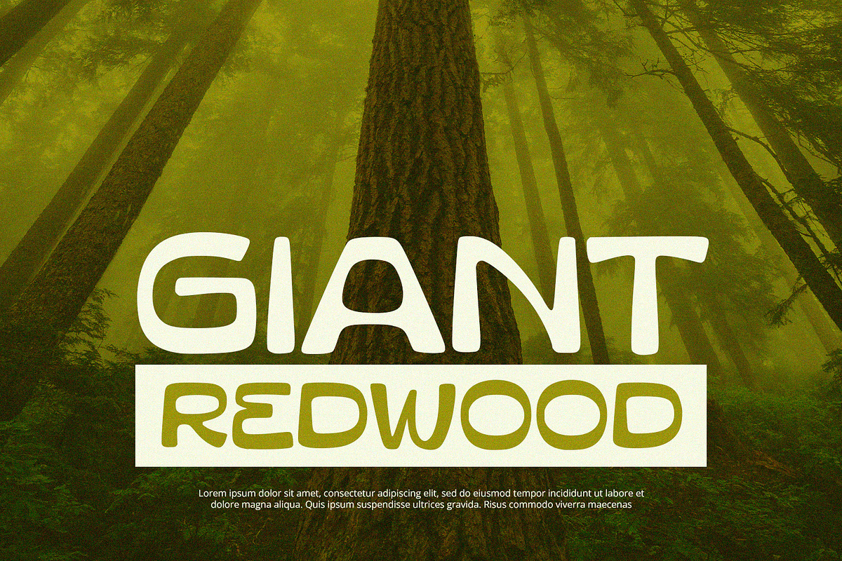 Gravis - Display Font, a Font by Alpaprana (Photo 5 of 11)
