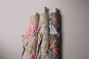FISH IN CORALS, an Animal Illustration by PASHKOVA (Thumbnail 5 of 10)