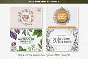 Wild & Medical Herbs, a Food Illustration by Chelovector (Thumbnail 5 of 5)