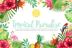 Tropical Paradise Graphic Set