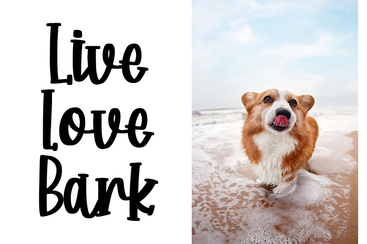 Corgi Puppy - Handwritten Font preview 4