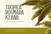 AMARIELLE Stencil Display Font, a Sans Serif Font by Letterhend Studio (Thumbnail 3 of 9)