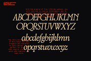 ZT Bros Oskon 90s - 72 Styles, a Serif Font by zelow type (Thumbnail 12 of 15)