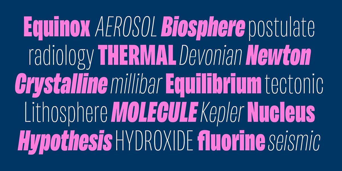 Maleo, a Sans Serif Font by Tokotype (Photo 7 of 12)