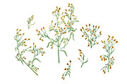 Branches, an Illustration by Watercolor life (Thumbnail 4 of 10)