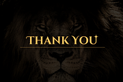 Modern Lion Logo Collection, a Branding & Logo Template by Brand_Hero (Thumbnail 11 of 11)