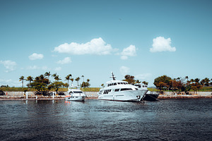 Luxury yachts at marina, a Transportation Photo by SkyNext