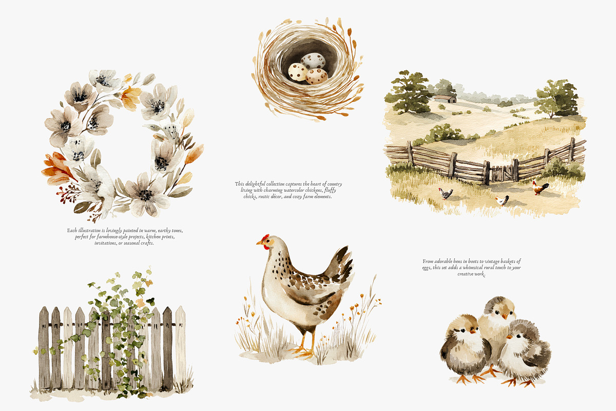 watercolor rustic hens barnyard bird, an Illustration by Patishop Art (Photo 5 of 8)