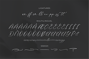 Mandela Clashinta Luxury Calligraphy, a Script Font by Storytype Studio (Thumbnail 14 of 15)