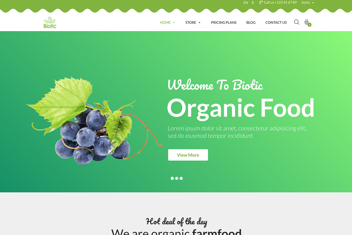 Biotic -Organic Food WordPress Theme, a WordPress Template by ThemeRegion (Photo 2 of 3)
