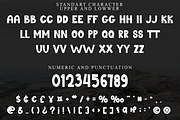 Last Winter, a Serif Font by FreshTypeINK (Thumbnail 4 of 8)