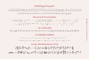 Lovely Wedding - Wedding Script Font, a Script Font by HIRO.std (Thumbnail 12 of 13)
