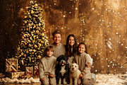 Falling Snow Christmas Tree Backdrop, a Background Photo by Winwin Design Art (Thumbnail 1 of 2)