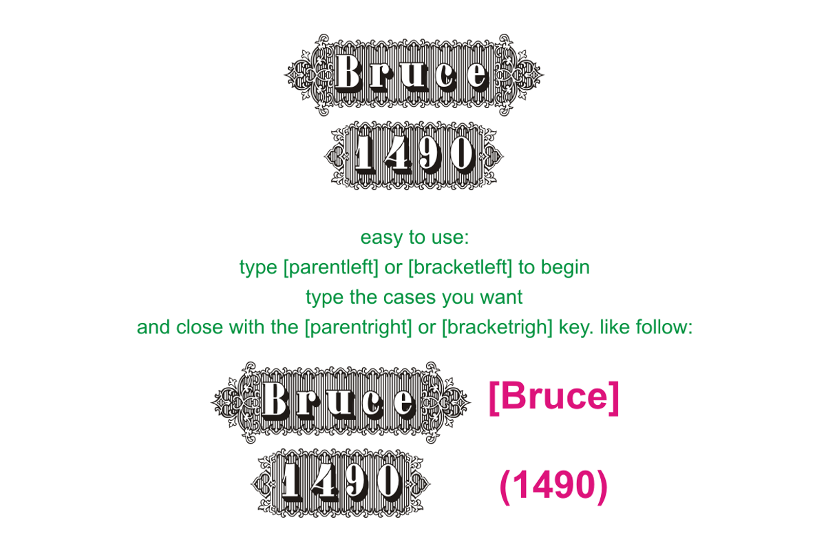 Bruce 1490 preview 3